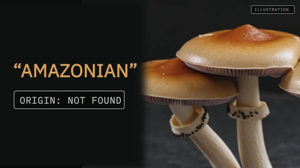 How to Understand the Amazonian Mushroom and Its Scientific Background
